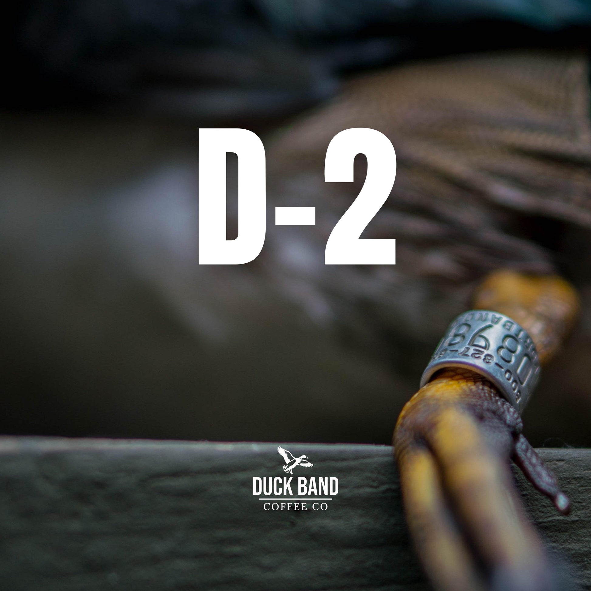 D-2 | Light Roast - Duck Band Coffee 